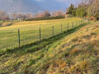 Terreno agricolo in vendita ad albino via san rocco