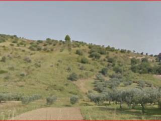 Terreno agricolo all'asta a vasto località cono a mare