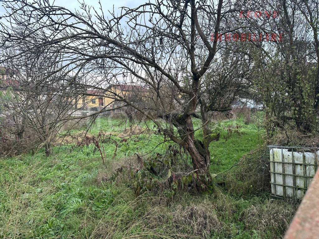 immagine annuncio 11 di 15