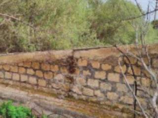 Terreno agricolo all'asta a carlentini strada regionale 5