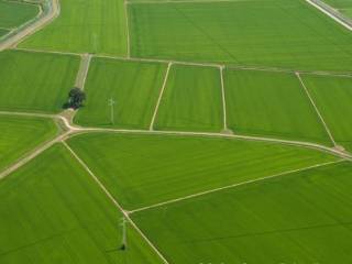 Terreno agricolo in vendita a vercelli 