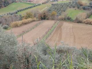 Terreno agricolo in vendita ad ascoli piceno strada fonte di campo, 50