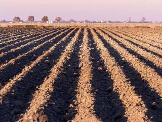 Terreno agricolo all'asta a mezzanego localita' case bosi , snc