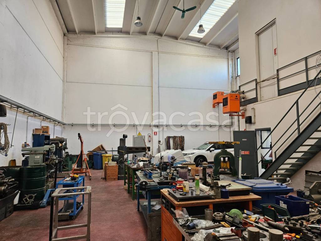 immagine annuncio 3 di 11