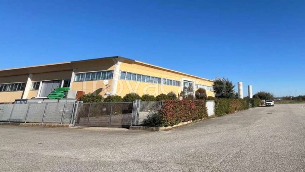 immagine annuncio 3 di 8