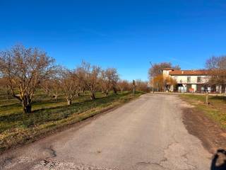 Terreno agricolo in vendita a capranica strada quadrone