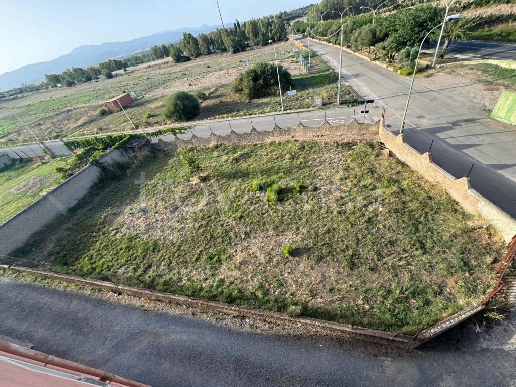 immagine annuncio 2 di 6