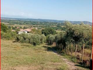 Terreno agricolo all'asta a monterosi via dei sassoni