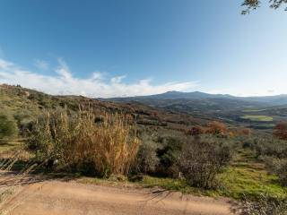 Appartamento in vendita a montalcino via r. ferretti