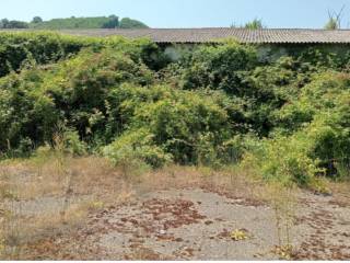 Capannone all'asta ad altavilla irpina contrada ponte dei santi