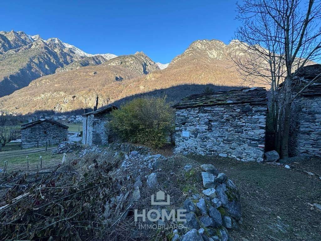 immagine annuncio 3 di 9