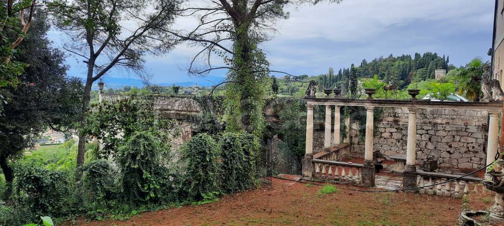 immagine annuncio 3 di 9