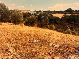 Terreno agricolo in vendita a riano via rianese