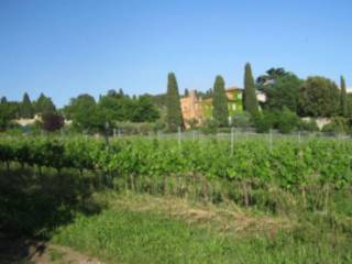 Terreno agricolo all'asta a grottaferrata via anagnina, 20