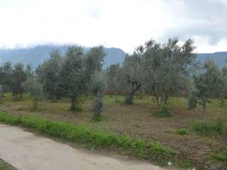 Terreno agricolo in vendita a telese terme via santa catella, 1