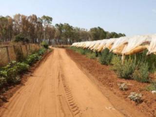 Terreno agricolo all'asta a caltagirone contrada piano peri