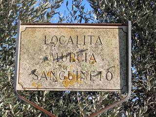 Terreno agricolo in vendita a tuoro sul trasimeno strada regionale del trasimeno