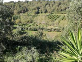 Terreno agricolo all'asta a lamezia terme via salvatore aversa e lucia precenzano