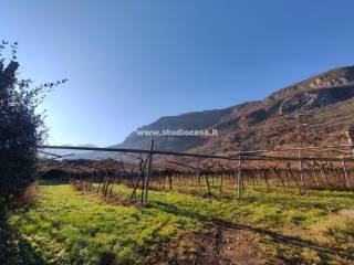 Terreno agricolo in vendita a mori via del dazio