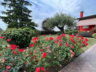 Villa in vendita ad anguillara veneta 