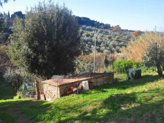 Terreno agricolo in vendita a santa luce 