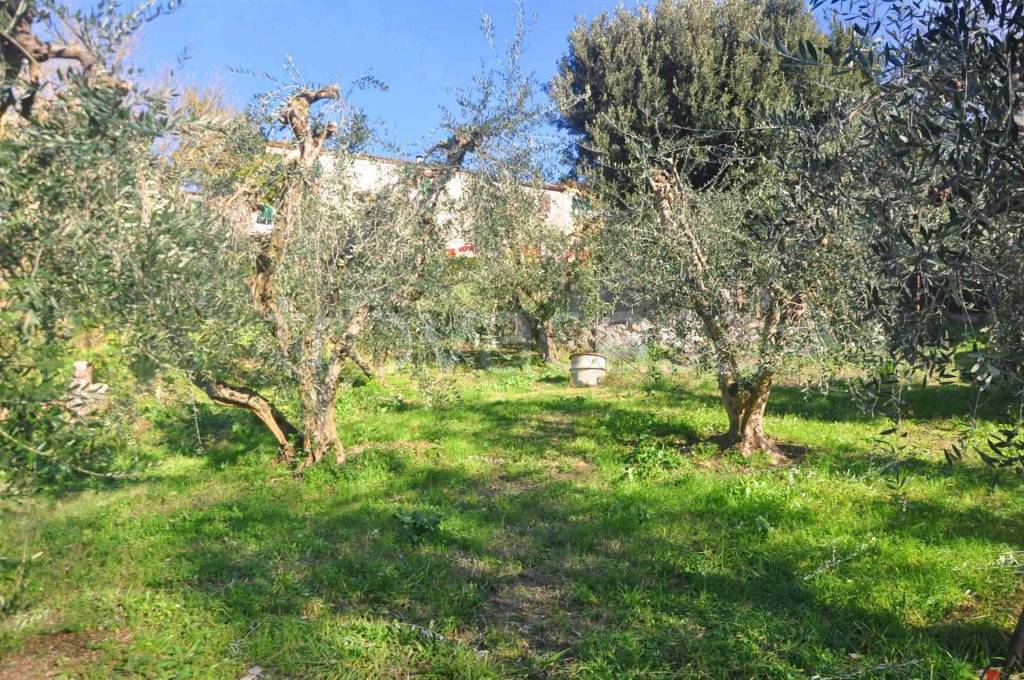 immagine annuncio 4 di 6