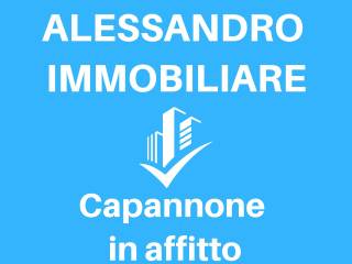 Capannone in affitto a latina 