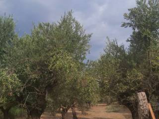 Terreno residenziale in vendita a villapiana via salvatore quasimodo