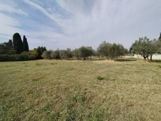 Terreno agricolo in vendita a firenze 