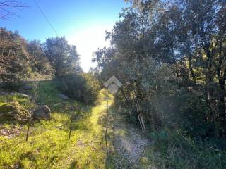 Terreno agricolo in vendita a torri in sabina via torri rocchette