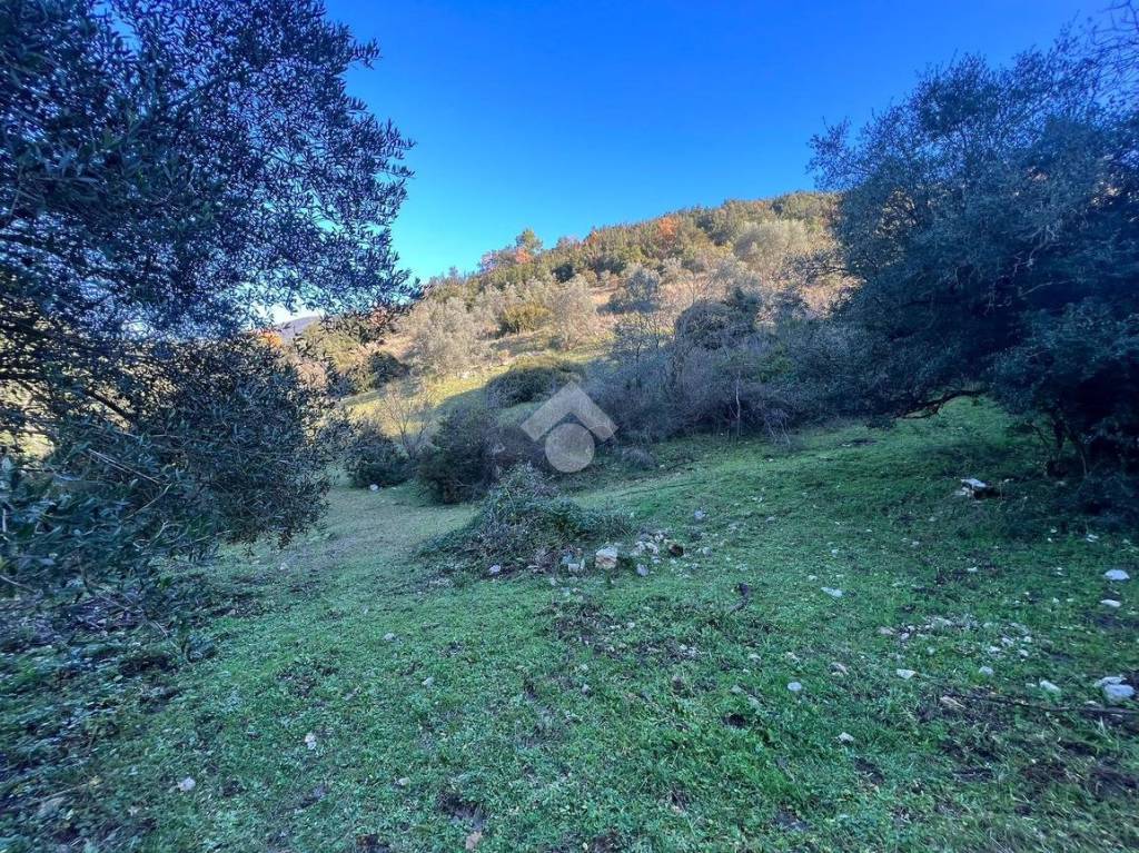 immagine annuncio 10 di 13