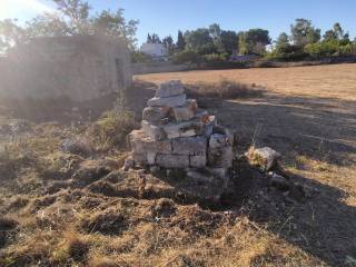 Terreno agricolo in vendita a spongano strada vicinale vecchia spongano diso