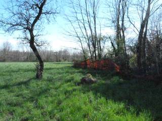 Rustico in vendita ad appiano gentile viale rimembranze