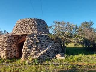 Terreno agricolo in vendita a gallipoli contrada li monaci