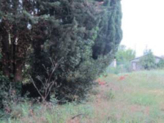 Terreno agricolo all'asta a pesaro via jurij gagarin