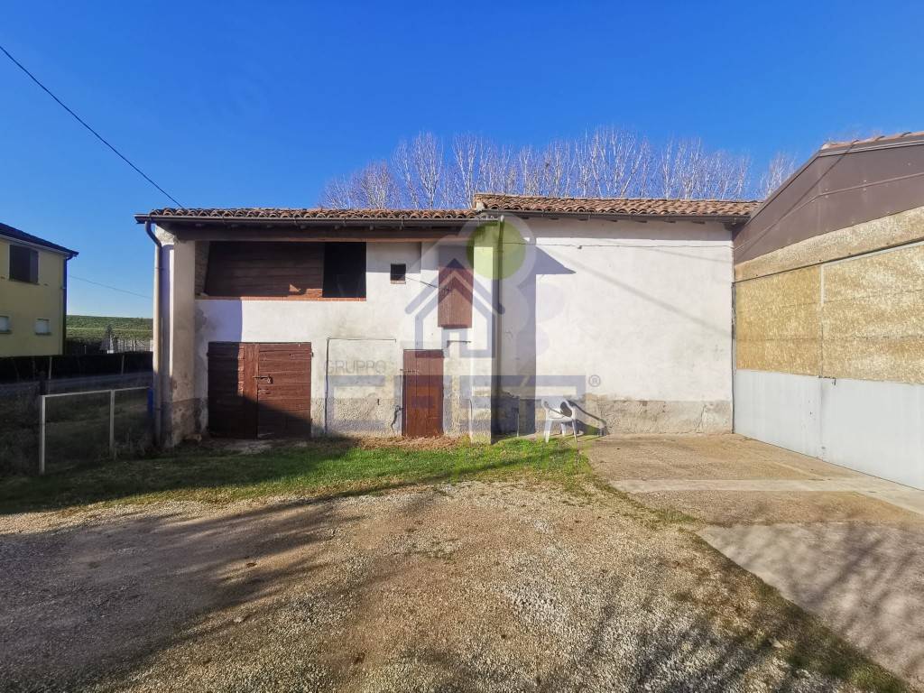 immagine annuncio 3 di 7