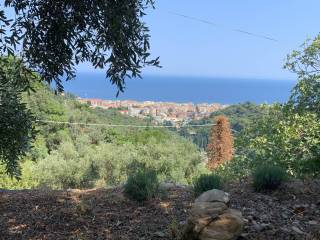 Terreno agricolo in vendita ad alassio strada privata sottochiesa-moglio