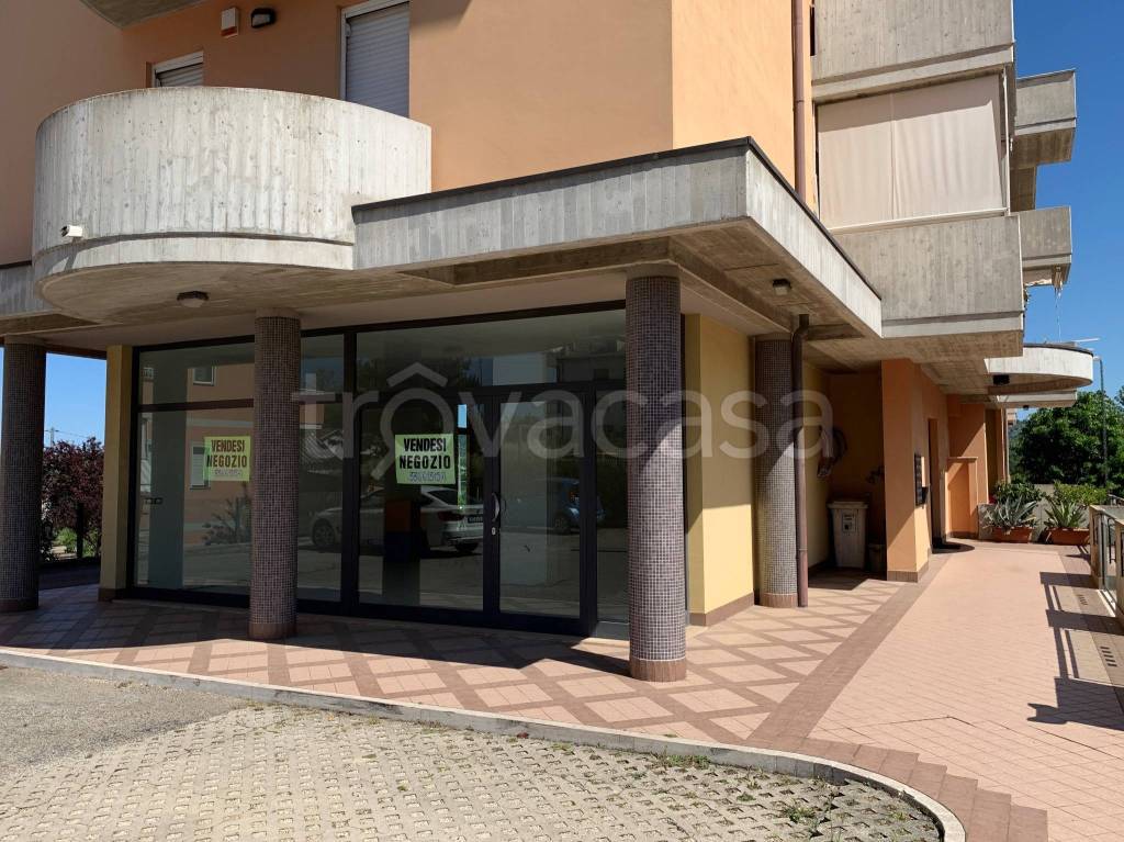immagine annuncio 2 di 9