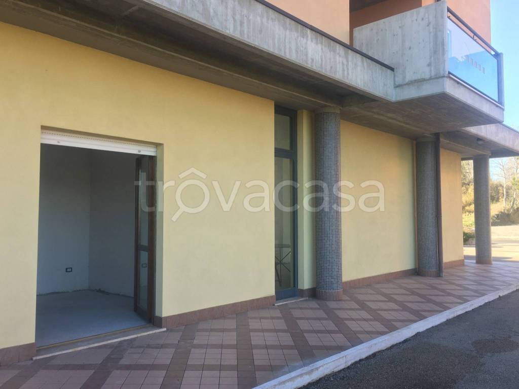 immagine annuncio 4 di 9