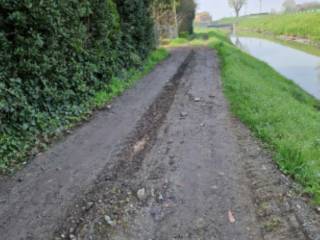 Terreno agricolo all'asta a chioggia strada margherita