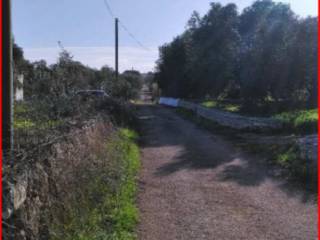 Terreno agricolo all'asta a ostuni contrada tamburroni