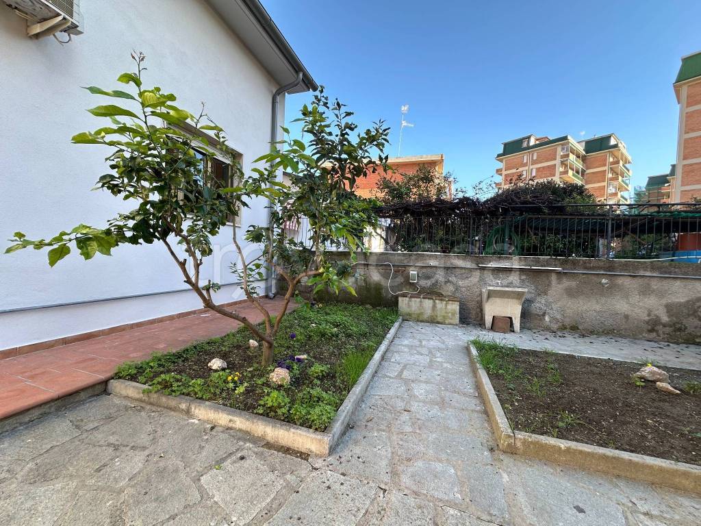 immagine annuncio 6 di 14