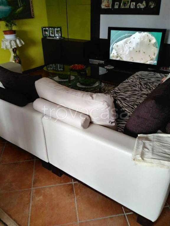 immagine annuncio 3 di 11