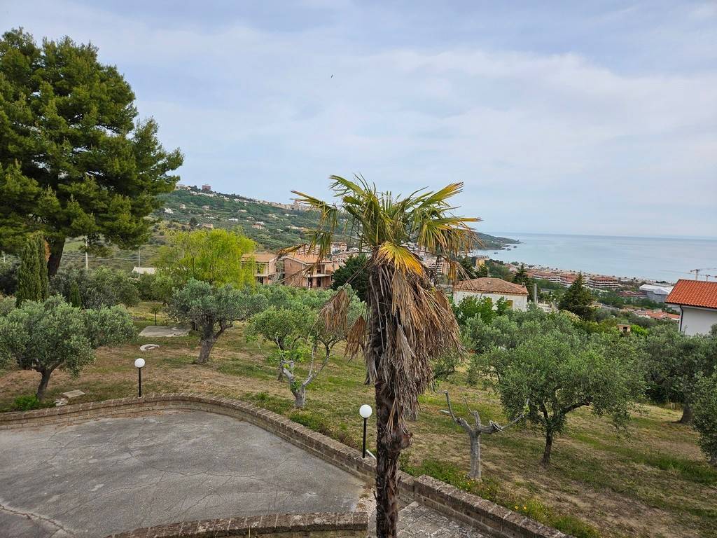 immagine annuncio 9 di 11