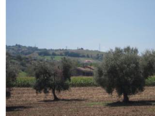 Terreno agricolo all'asta a civitella del tronto frazione di san reparata