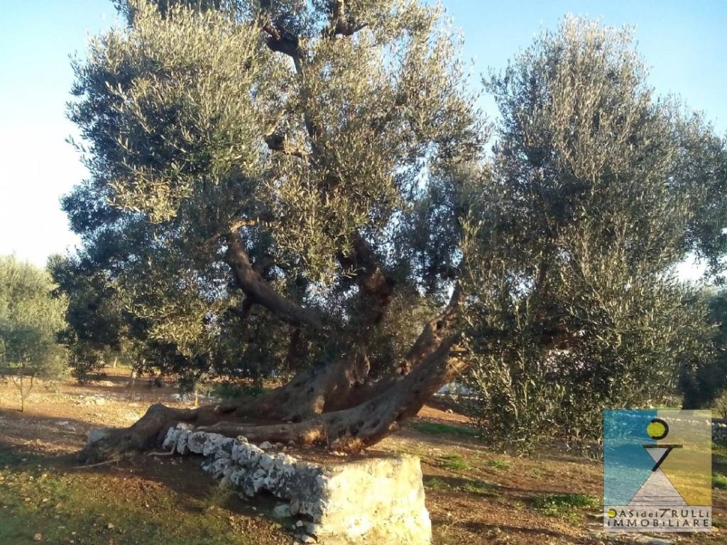 immagine annuncio 2 di 8