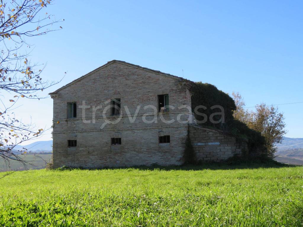immagine annuncio 2 di 11