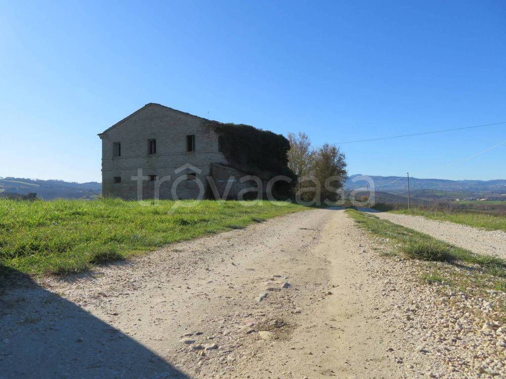 immagine annuncio 3 di 11