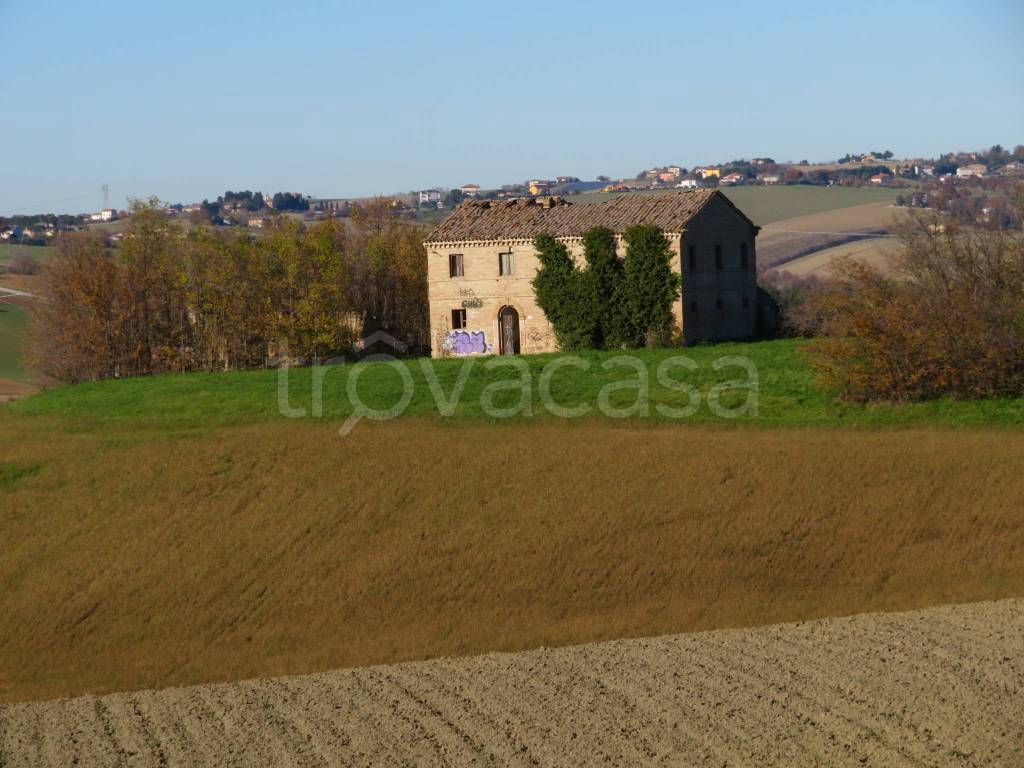 immagine annuncio 4 di 11