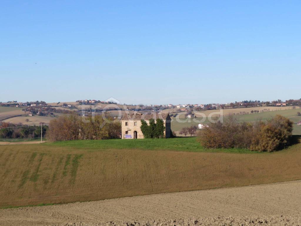 immagine annuncio 5 di 11